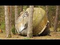 UFO Landed In Varginha... Moments Later, the Situation Got Crazier