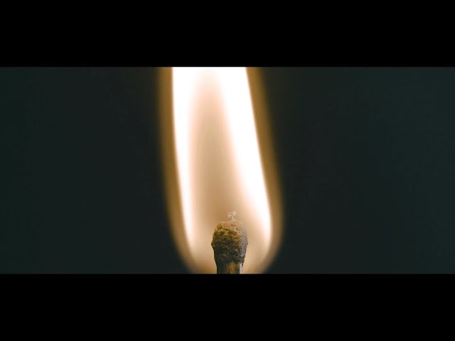 A.A. Williams - Melt