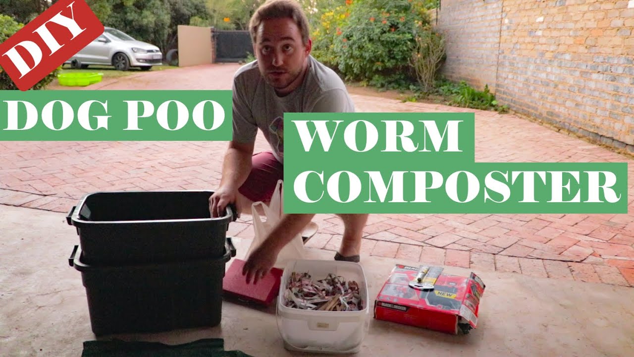 DIY Dog Poo Composting Worm Farm! Will it work? Part 1 YouTube