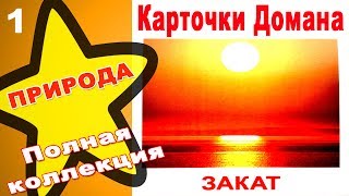 Карточки Домана Природа часть 1