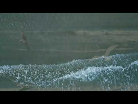 pisces-weekly-astrology-horoscope-5th-august-2019