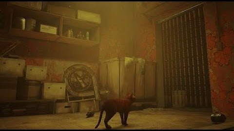 Stray-Chapter 3- The Flat walkthrough