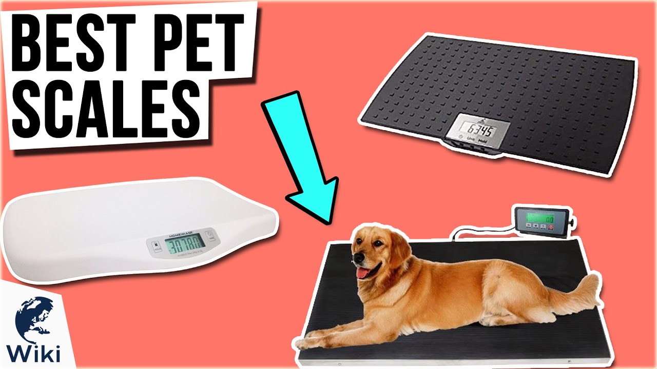 Digital Pet Scale