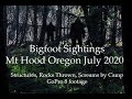 Bigfoot Sightings July 2020 Rocks Thrown then followed Back to Camp!