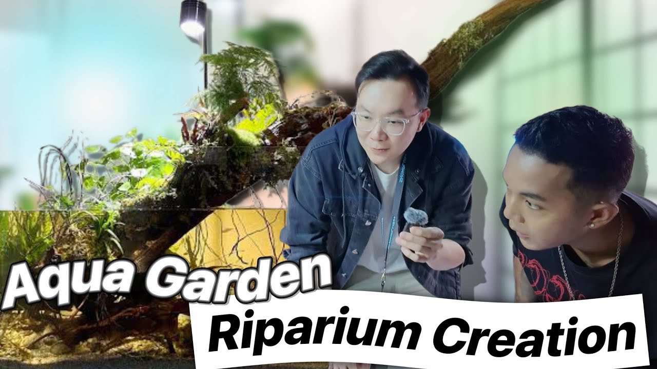 EP47: ဆေးမိသွားခြင်း (သို့) ဆေးအောင်သွားခြင်း [RIPARIUM CREATION]