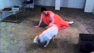 Playing with Milo on a Thursday Night