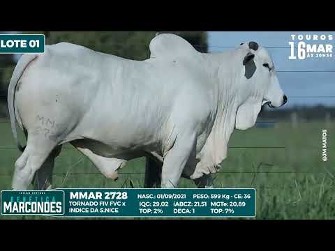 LOTE 01 MMAR 2728