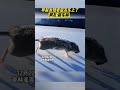 寒波でネズミも凍る／Cold weather freezes even rats／ठंड का मौसम चूहों को भी जमा देता है【China|中国】