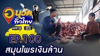 บุกโรงงาน สมุนไพรเงินล้าน | อนุวัตทั่วไทย | EP 100 | ข่าวช่องวัน | one31