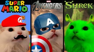 Funny cat sings 'Meow' in different universes