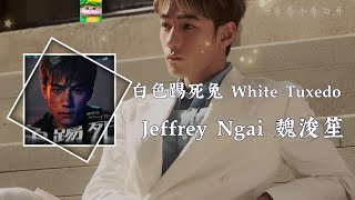 白色踢死兔 White Tuxedo｜Jeffrey Ngai 魏浚笙「其實我 不像你話 那麼好」【粵語歌】【動態歌詞】
