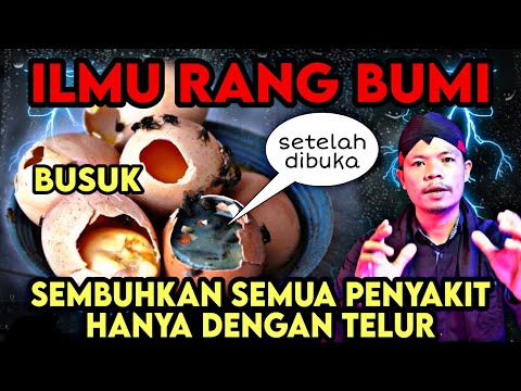 HILANG TUNTAS PENYAKIT APAPUN HANYA DENGAN TELUR AYAM KAMPUNG - BANG SIMO