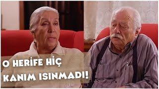 Hüsnü Ile Leyla, Bilgeye Üzülüyor Bizimkiler 2. Bölüm