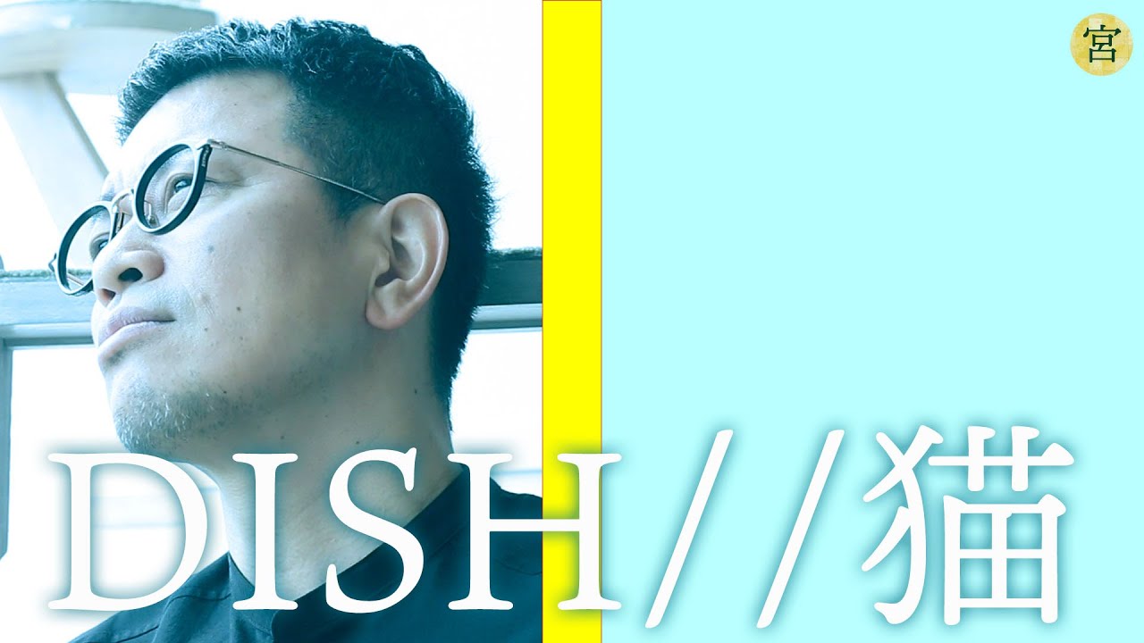猫 / DISH// (カバー)【110万人突破記念】 - YouTube