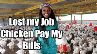 I LOST MY JOB BUT CHICKEN FARMING PAY MY BILLS. How to start a broiler Chicken farm. coccidiosis