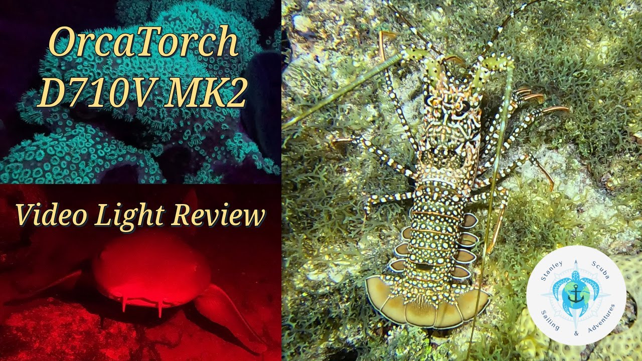 Видеофонарь OrcaTorch D710V MK2 | Распаковка + Обзор для ночного дайвинга