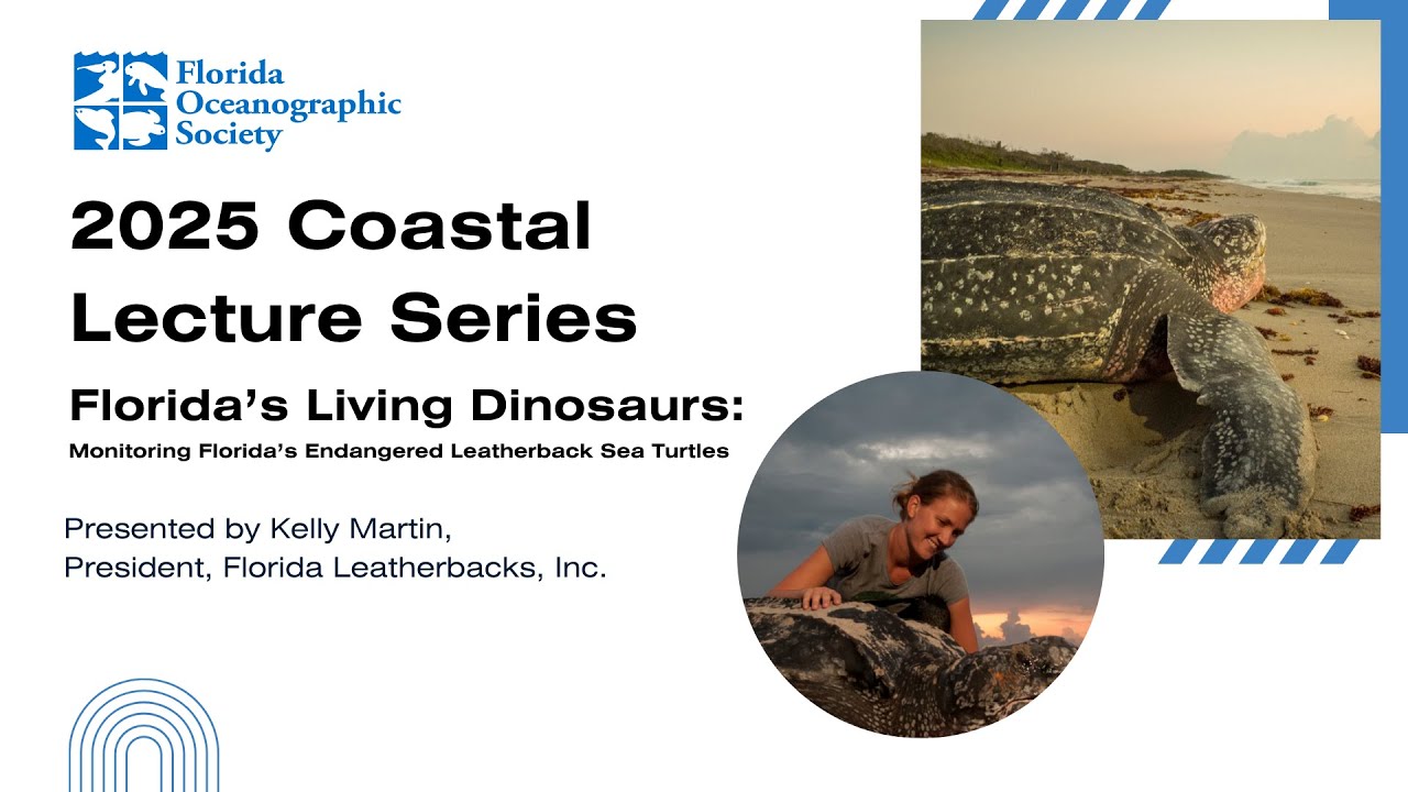 Florida’s Living Dinosaurs: Monitoring Florida’s Endangered Leatherback Sea Turtles