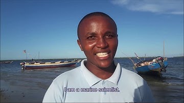 Youth for the Ocean Decade: Hopes and Contributions