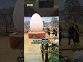 Premiera trzeciego sezonu i odsłonięcie Panoramy "1670"#shorts
