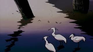 That Funny Feeling  Phoebe Bridgers slowed  Reverb bo Burnham Cover