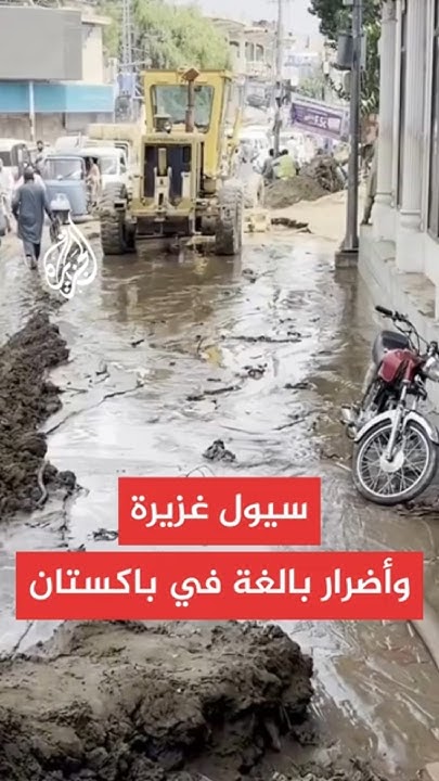    :        337 
 - نشر قبل 2 ساعة