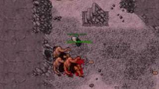 Tibia - Cyclops Cave