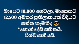 Life Insurance Benefits Sinhala | Life Insurance & Investment Plan 2 in 1 Policy