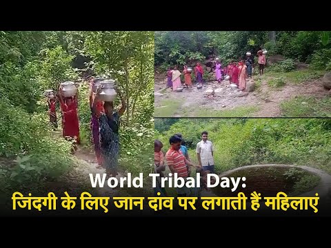 World Tribal Day: जिंदगी के लिए जान दांव पर लगाती हैं महिलाएं