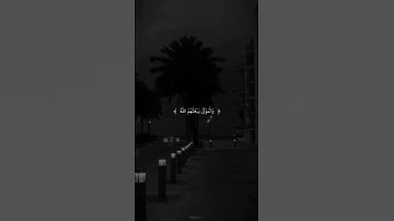 الشيخ ياسر الدوسري 🤍🌸الآية 36 من سورة الأنعام 🤍🌸#تلاوات_خاشعة