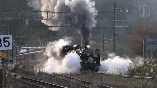 羽越本線 SL日本海美食旅号酒田行 他 2019年11月2日