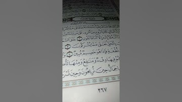 ماتيسر من سورة النحل بصوت الشيخ سيد النقشبندي نادر