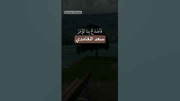 فَوَرَبِّكَ لَنَسۡـَٔلَنَّهُمۡ أَجۡمَعِينَ(٩٢)عَمَّا كَانُواْ يَعۡمَلُونَ(٩٣)سورة الحجر -سعد الغامدي
