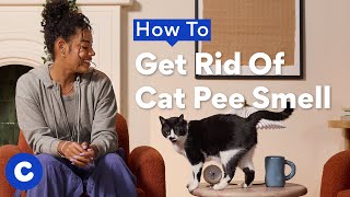 How To Get Rid Of Cat Pee Smell | Chewtorials by Chewy 3,233 views 6 months ago 2 minutes, 56 seconds