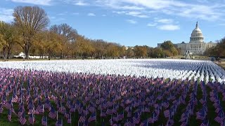Thousands of flags placed on National Mall to raise lung cancer awareness | NBC4 Washington