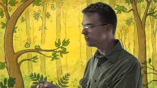 John Lechner Accepts the Beverly Cleary Children's Choice Award 2010 