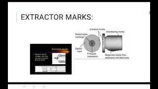 Information FORENSIC BALLISTIC Guide