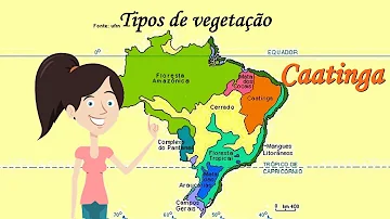 Como a vegetação da Caatinga se adapta ao clima quente e seco?