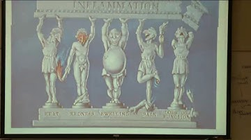 Chapter 14 (Part 2): Nonspecific Host Defenses