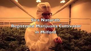 Sira Naturals