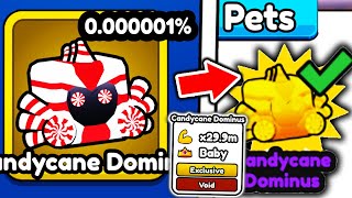 I Got RAREST 0.000001% CANDYCANE DOMINUS PET in Roblox Arm Wrestle Simulator..