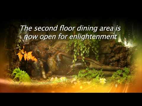 Terrace Garden and Free Spa Fish for Guests of The Penthouse Hotel Pattaya Thailand