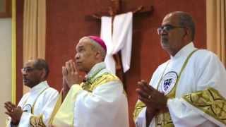 Father David Begany Ordination