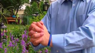 Mitosis Hand Jive Bill Ry The Science Guy