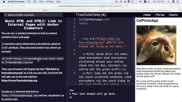 Link to External Pages with Anchor Elements | freecodecamp