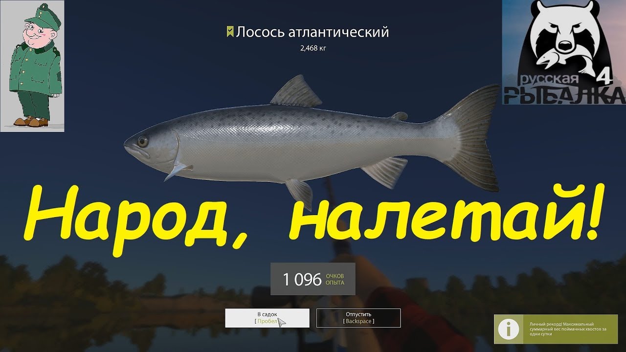 Реальная рыбалка стерлядь волга