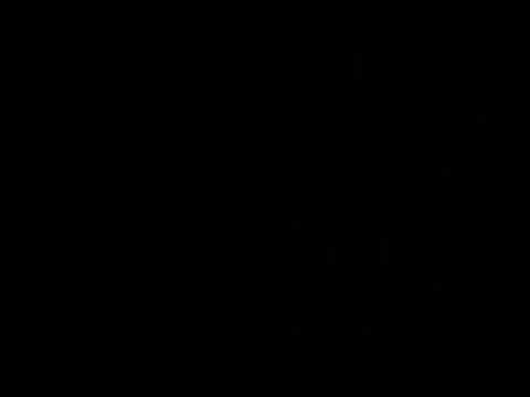 Guarda ave boy su YouTube