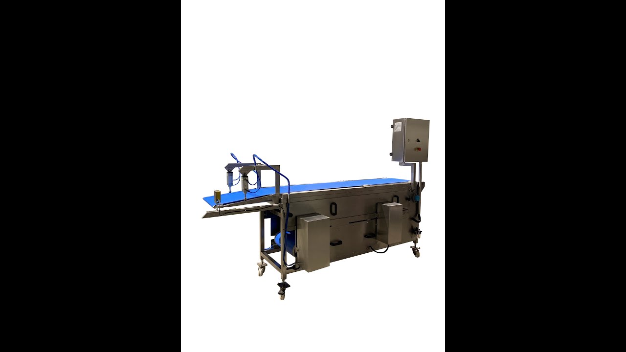 IOSIFIDIS GROUP - DEPOSITING CONVEYOR SYSTEM