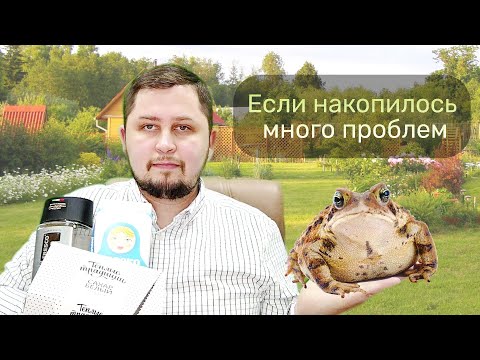 Если накопилось много проблем. Психолог Артём Скобёлкин