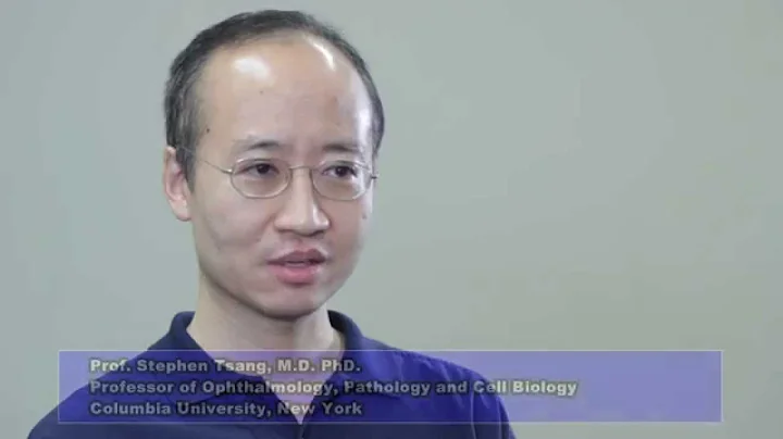 ARVO 2014 Prof Stephen Tsang