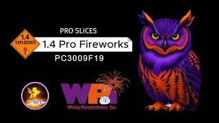 Wisley Pyrotechnics Inc. - PC3009F19 - T-Sky - Pro Slices - 1.4 Pro Firework